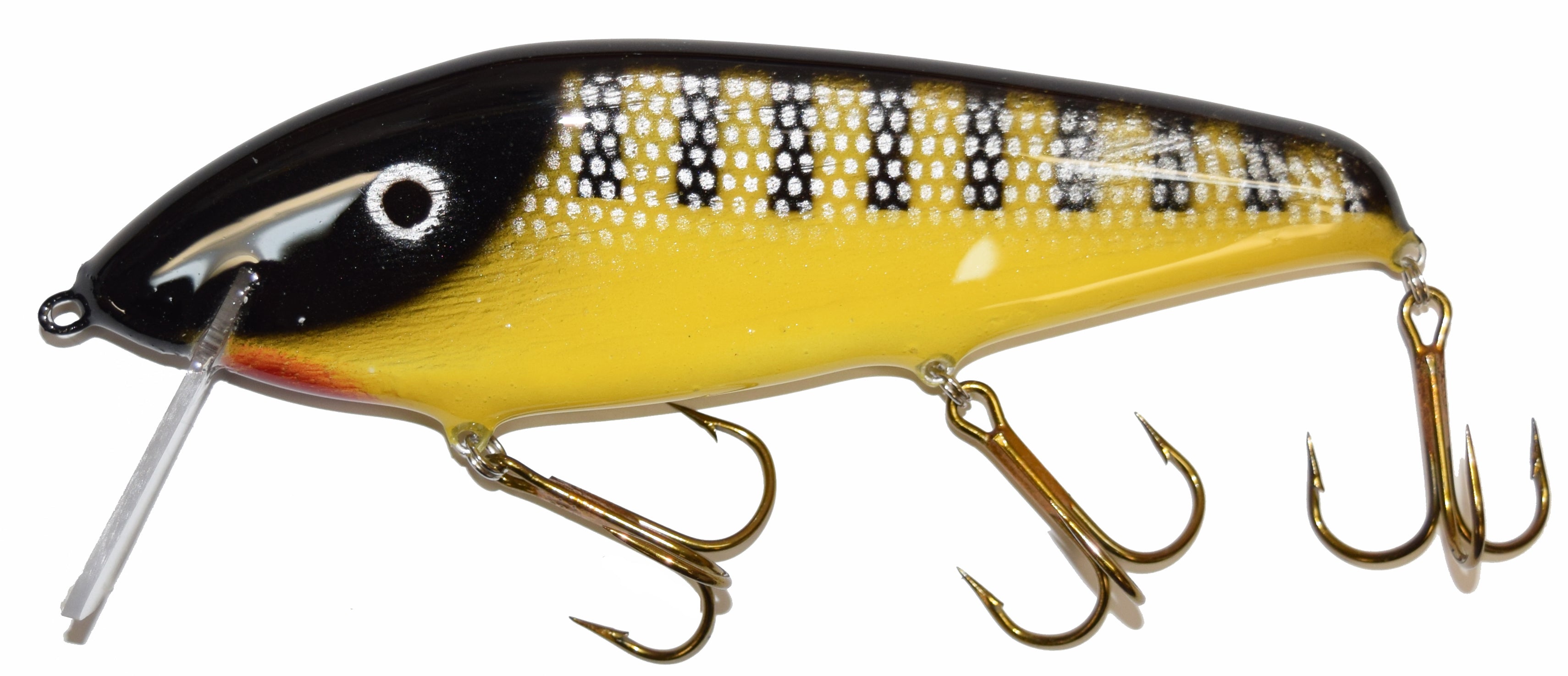 black perch