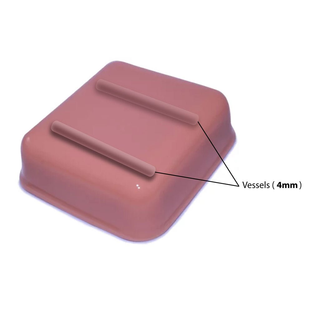 HM2.0 Remoldable 2-Vessel Ultrasound Training Model - Perfect for Medical Students & Sonography Practice (Arterial & Venous Vessel Simulation)