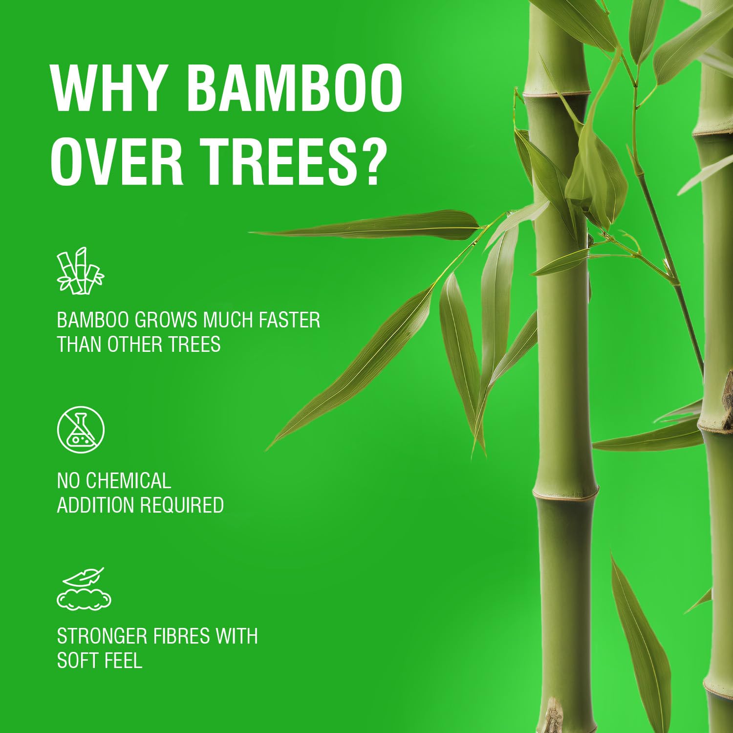 Beco Bamboo Soft Facial Tissue Box - 6 Packs (600 Pulls Total) | 2-Ply 100% Natural & Eco-Friendly Bamboo Tissues | Gentle for Nose & Skin | Perfect for Home, Office & Travel Use