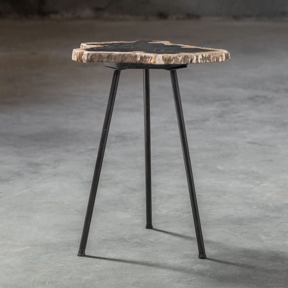 20 Inch Free Form Accent Table with Iron Legs - Nature Inspired Modern Side Table - Contemporary End Table for Living Room, Bedroom & Office Decor - 208-Bel-4190636