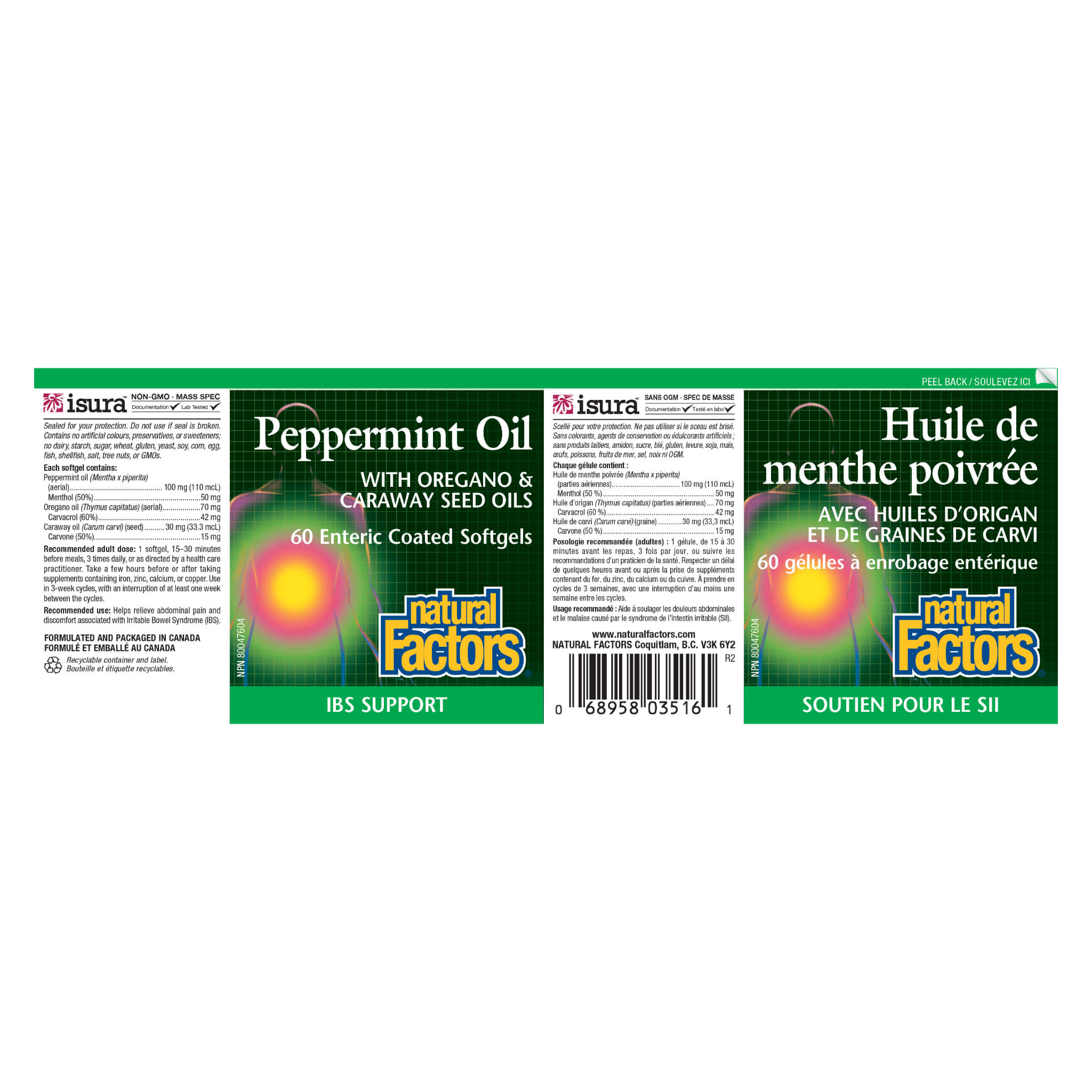 Pure Peppermint Essential Oil with Oregano & Caraway Seed Oils - Natural Aromatherapy for Stress Relief & Digestion Support | Perfect for Diffusers, Massage & DIY Skincare