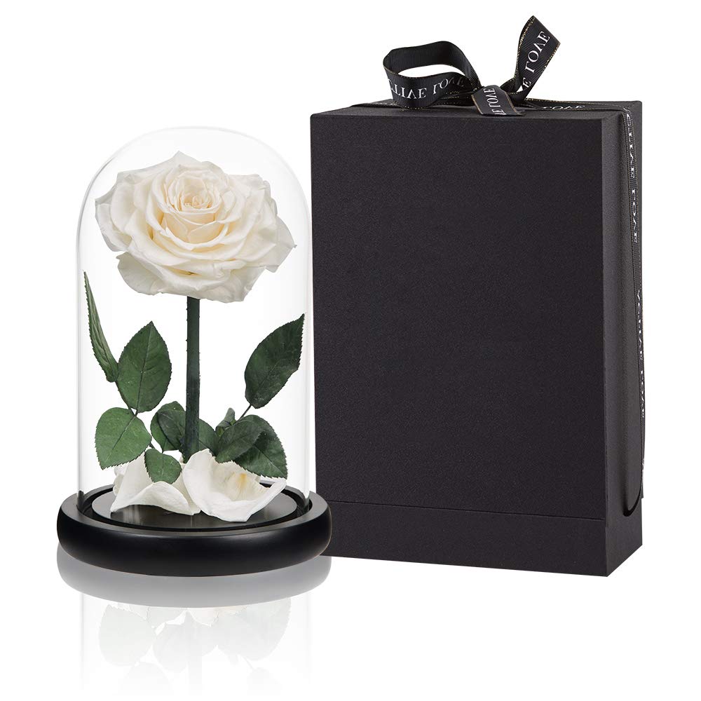 Handmade Real Preserved White Roses in Glass Dome - Never Wither Romantic Gift for Her, Mother's Day, Birthday, Anniversary - Perfect for Home Decor, Wedding Centerpieces & Special Occasions (9 inch)