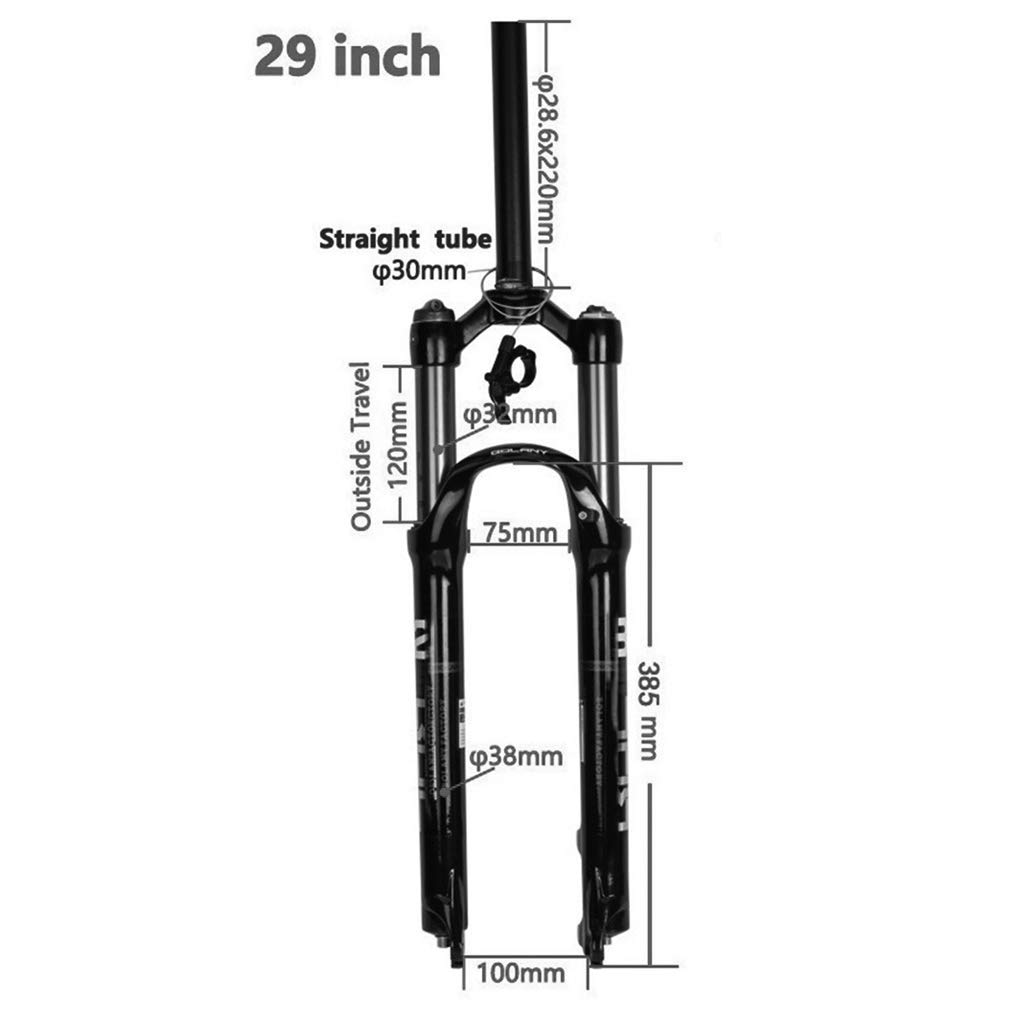 29