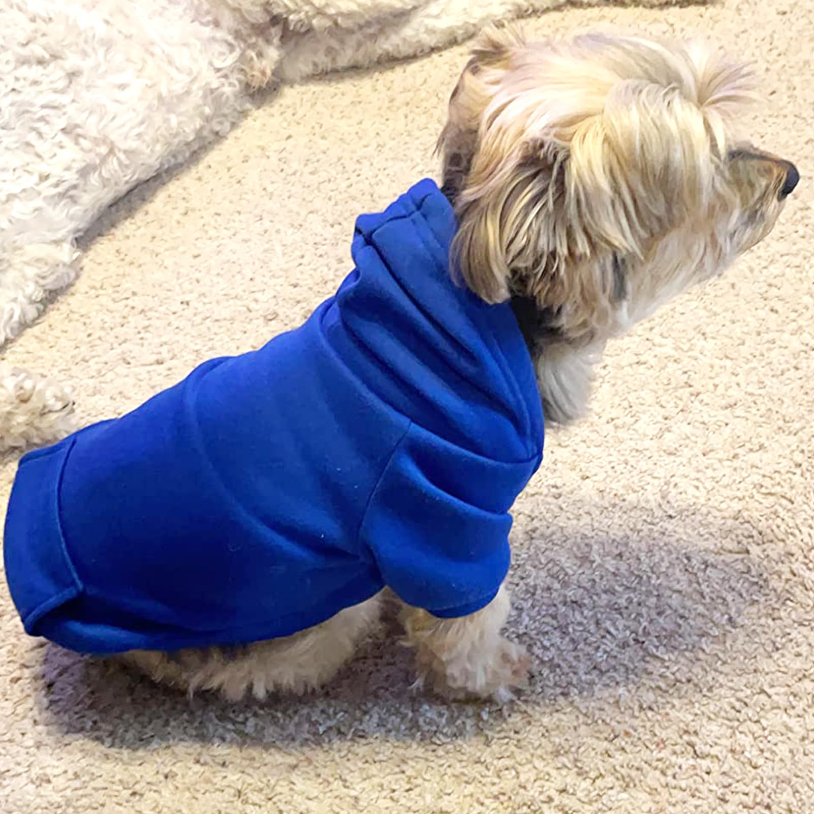 Jecikelon Winter Dog Hoodie Sweatshirt with Pockets - Warm Pet Clothes for Small Dogs & Puppies - Cozy Chihuahua Coat & Cat Costume - XX-Small Dark Blue - Perfect for Cold Weather Walks & Indoor Comfort