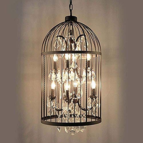 8 Lights. Black