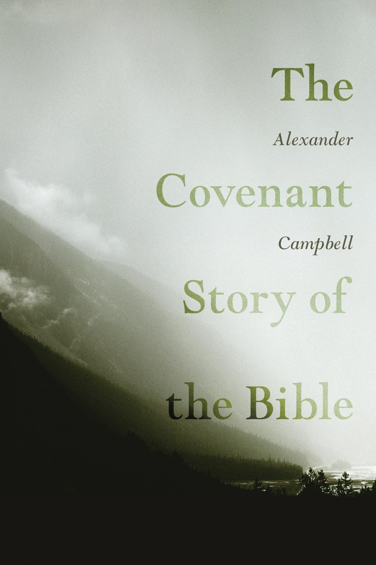 The Covenant Story of the Bible - Complete Biblical Narrative of God's Promises | Perfect for Bible Study, Sunday School & Personal Devotion