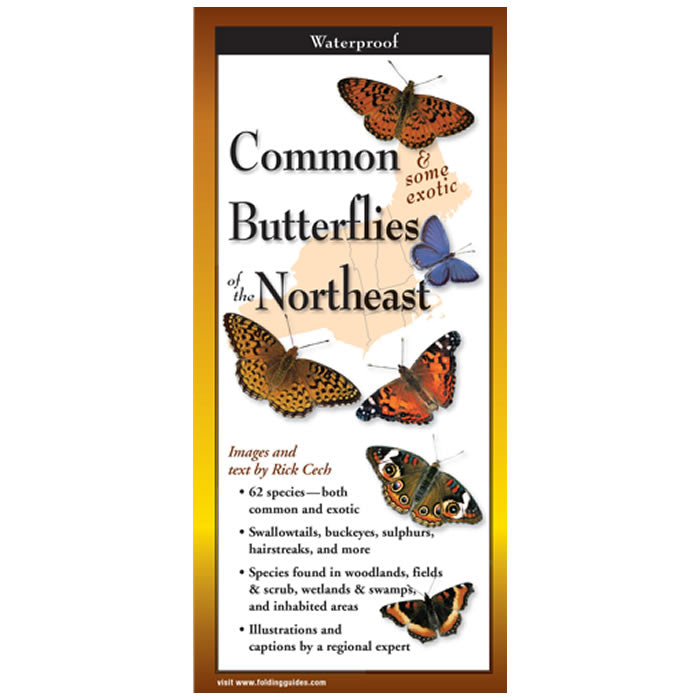 Northeast Butterfly Identification Guide - Folding Pocket Field Guide for Nature Enthusiasts | Perfect for Hiking, Birdwatching & Outdoor Education