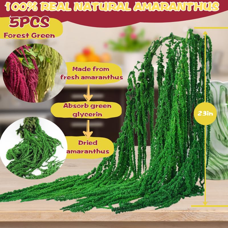 5Pcs Real Dried Amaranthus Hanging Flowers - 23