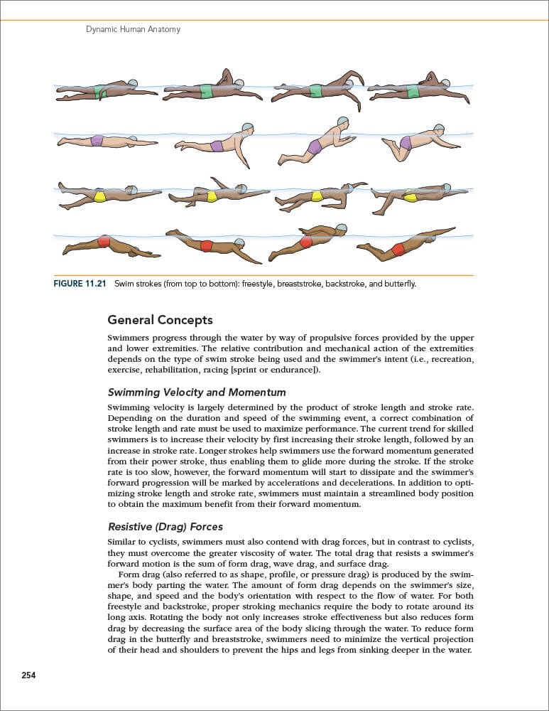 Dynamic Human Anatomy - Comprehensive 3D Study Guide for Medical Students & Artists | Perfect for Anatomy Classes, Art Reference & Healthcare Education