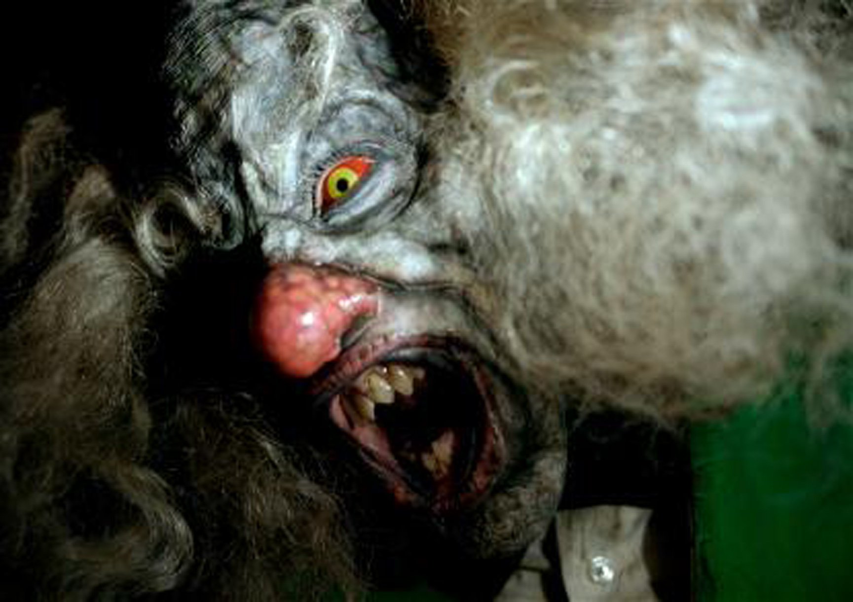 House of Fears - Premium Halloween Decorations & Scary Home Accessories for Spooky Parties, Haunted Houses, and Horror Theme Events