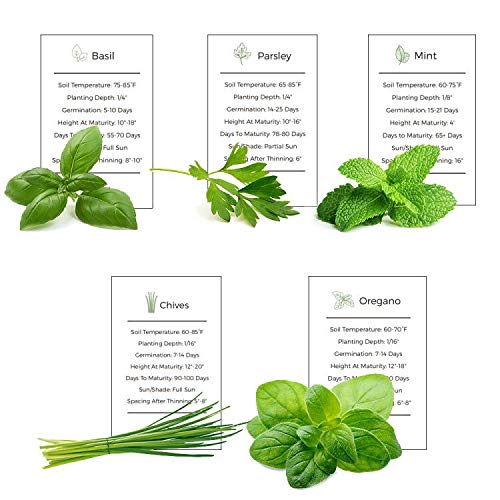 Organic Herb Garden Seeds Collection - 5 Culinary Herb Seeds Pack (Basil, Parsley, Mint, Chives, Oregano) - Non-GMO Heirloom Seeds for Planting Indoor/Outdoor - Perfect for Kitchen Gardening, Windowsill Herb Gardens & DIY Gift Ideas