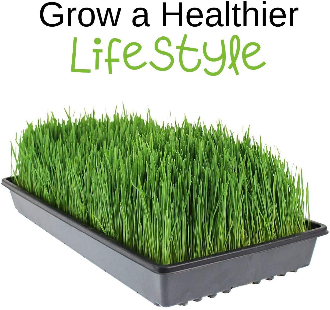 Organic Hydroponic Grow Pads - 200 Pack for Wheatgrass, Microgreens & Seed Germination - Fits 20