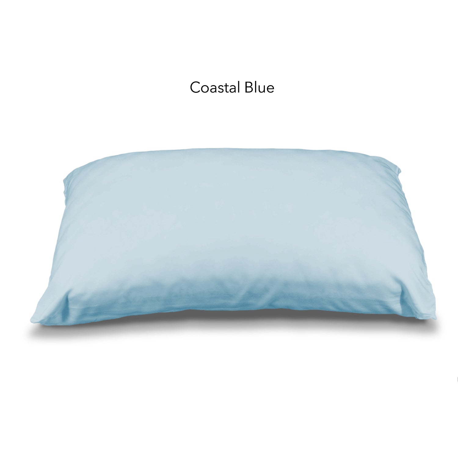 Coastal Blue