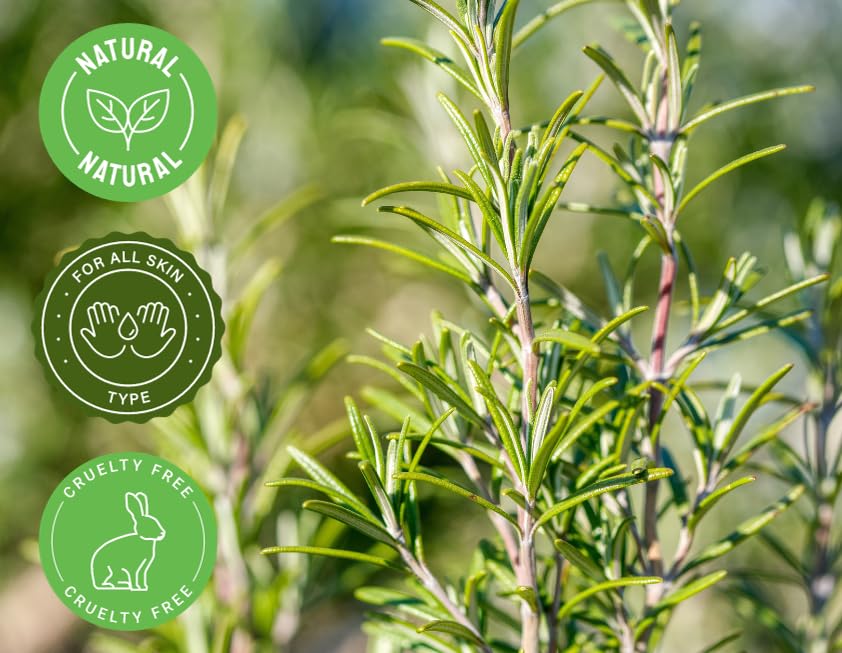 100% Pure Rosemary Essential Oil - 16 fl oz (473ml) in Amber Glass Bottle for Aromatherapy, Massage & Hair Care - GreenHealth