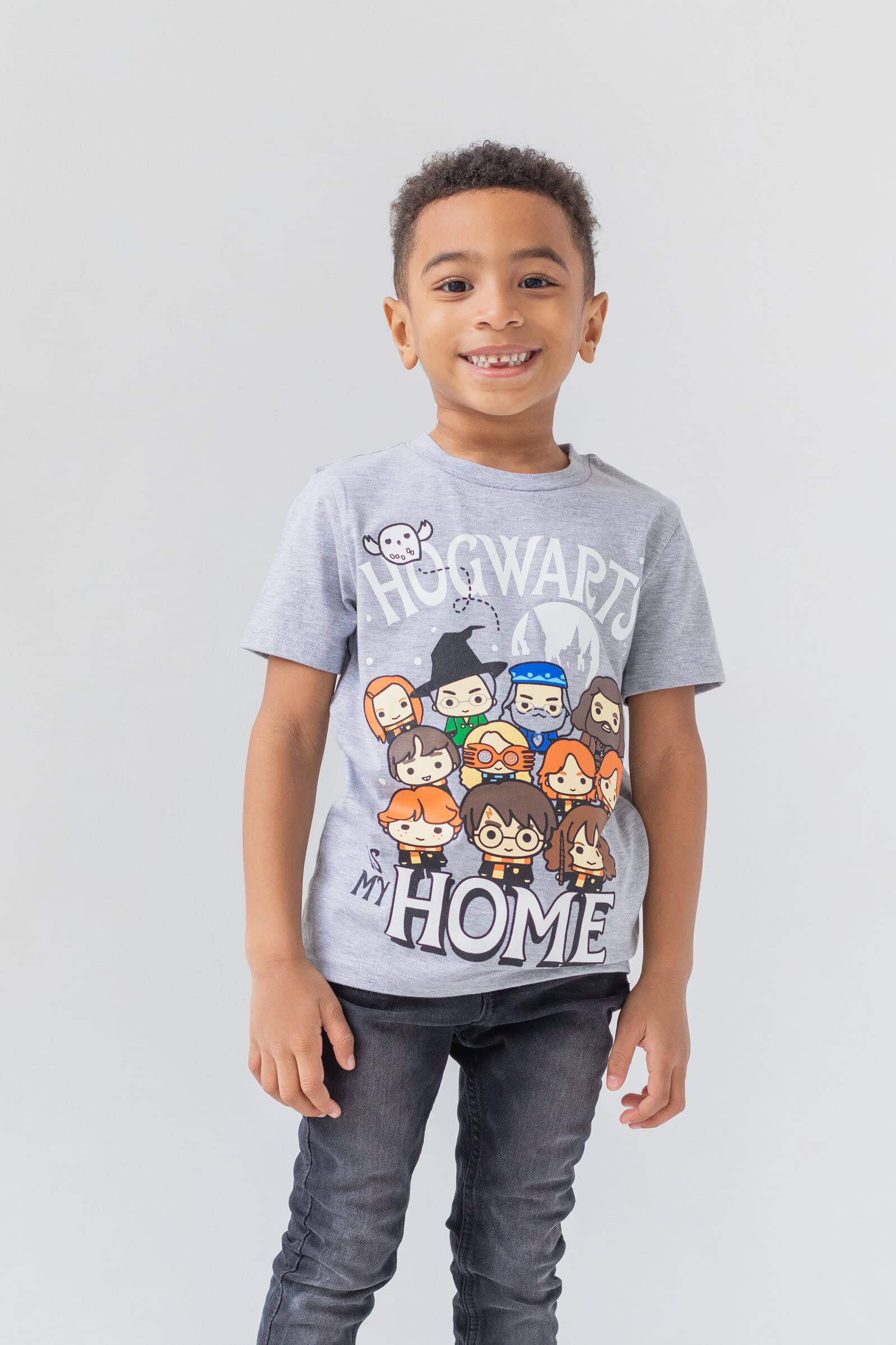 Harry Potter 3 Pack Pullover Hooded T-Shirts for Kids | Sizes 2T-12 | Gryffindor, Slytherin, Hufflepuff, Ravenclaw House Designs | Perfect for School, Halloween Costumes & Harry Potter Themed Parties