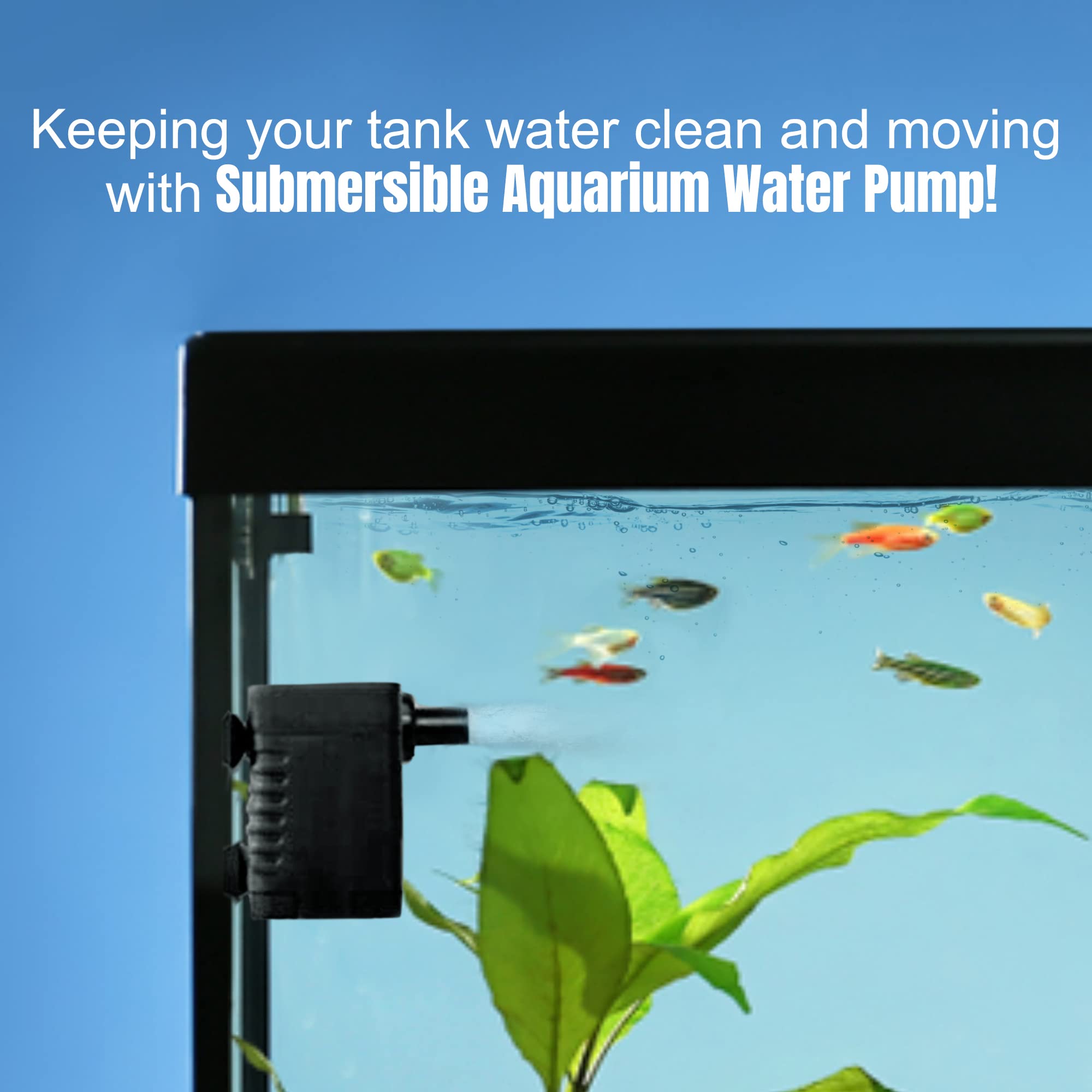 SunGrow 3W 55 GPH Mini Submersible Water Pump for Cat & Dog Bowls, Aquariums, Fountains, Hydroponics - Perfect for 3-5 Gallon Tanks, Tabletop Displays & Pet Water Dispensers