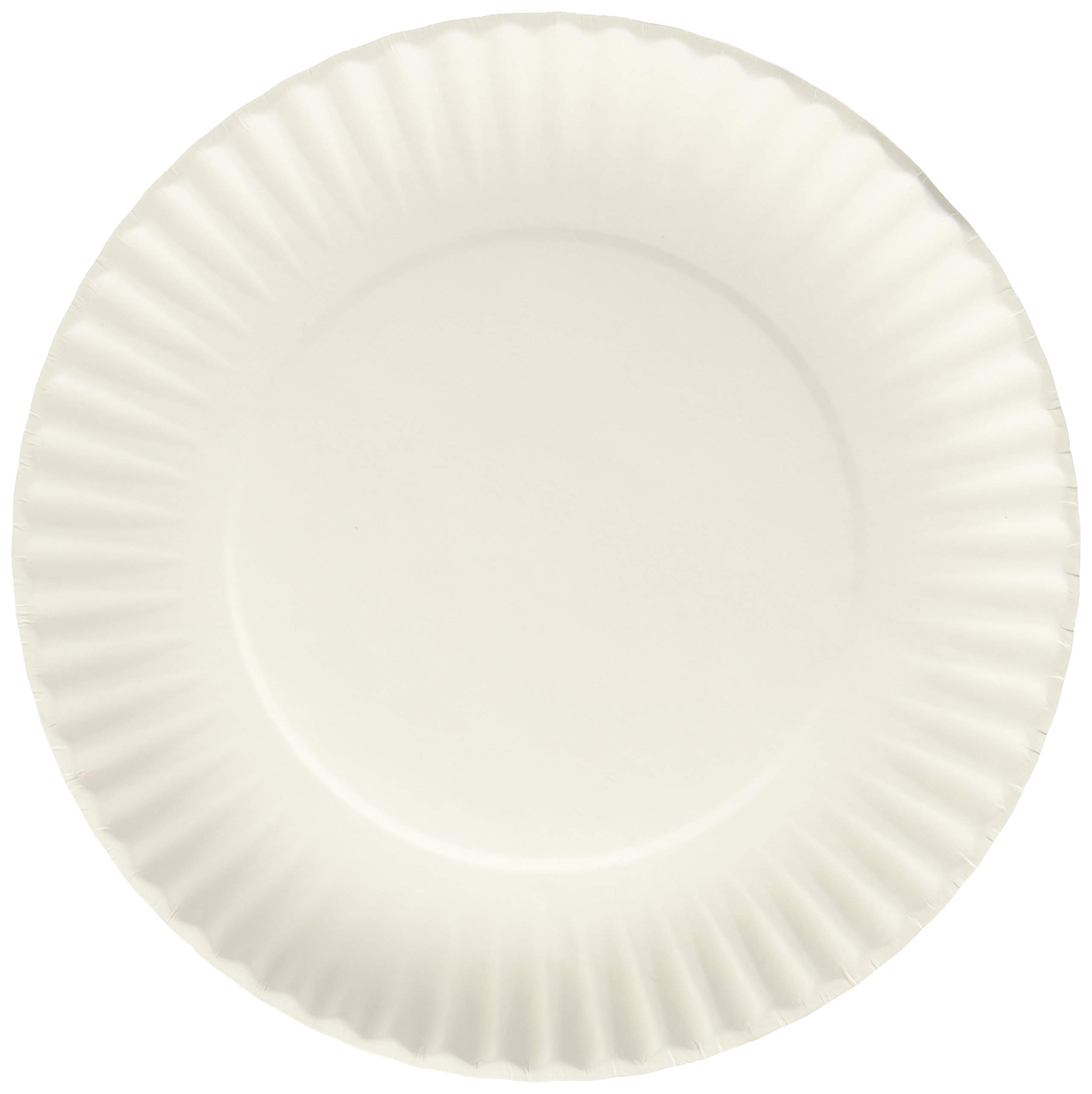 Nicole Home Collection 200 Count White 9-Inch Disposable Paper Plates - Everyday Dinnerware for Parties, Picnics & Family Gatherings