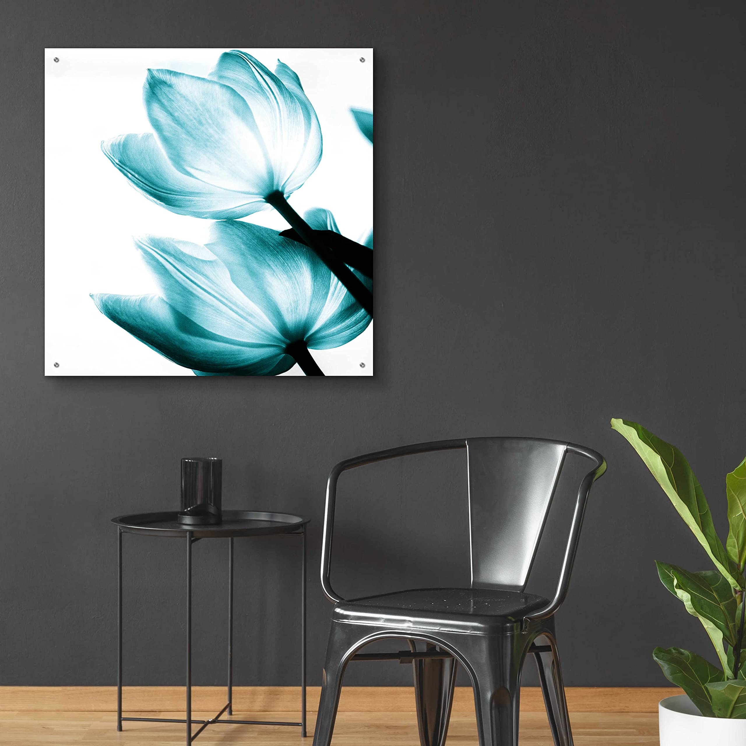 Debra Van Swearingen Translucent Tulips II Teal Acrylic Glass Wall Art - 36x36 Inches Modern Home Decor for Living Room, Bedroom & Office