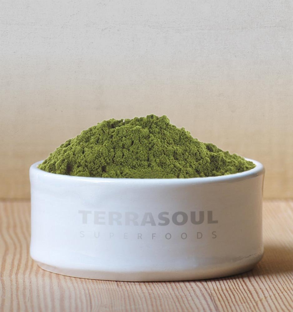 Organic Hemp Protein Powder by Terrasoul Superfoods - 2lb (50% Plant-Based Protein) for Smoothies, Baking & Post-Workout Recovery