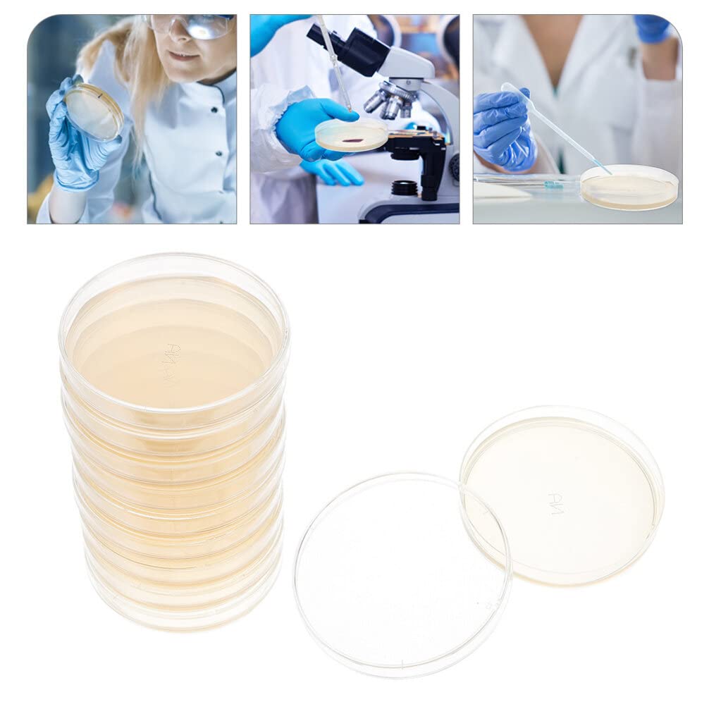 10pcs Nutrient Agar Petri Dishes with Lids for Lab Cultures
