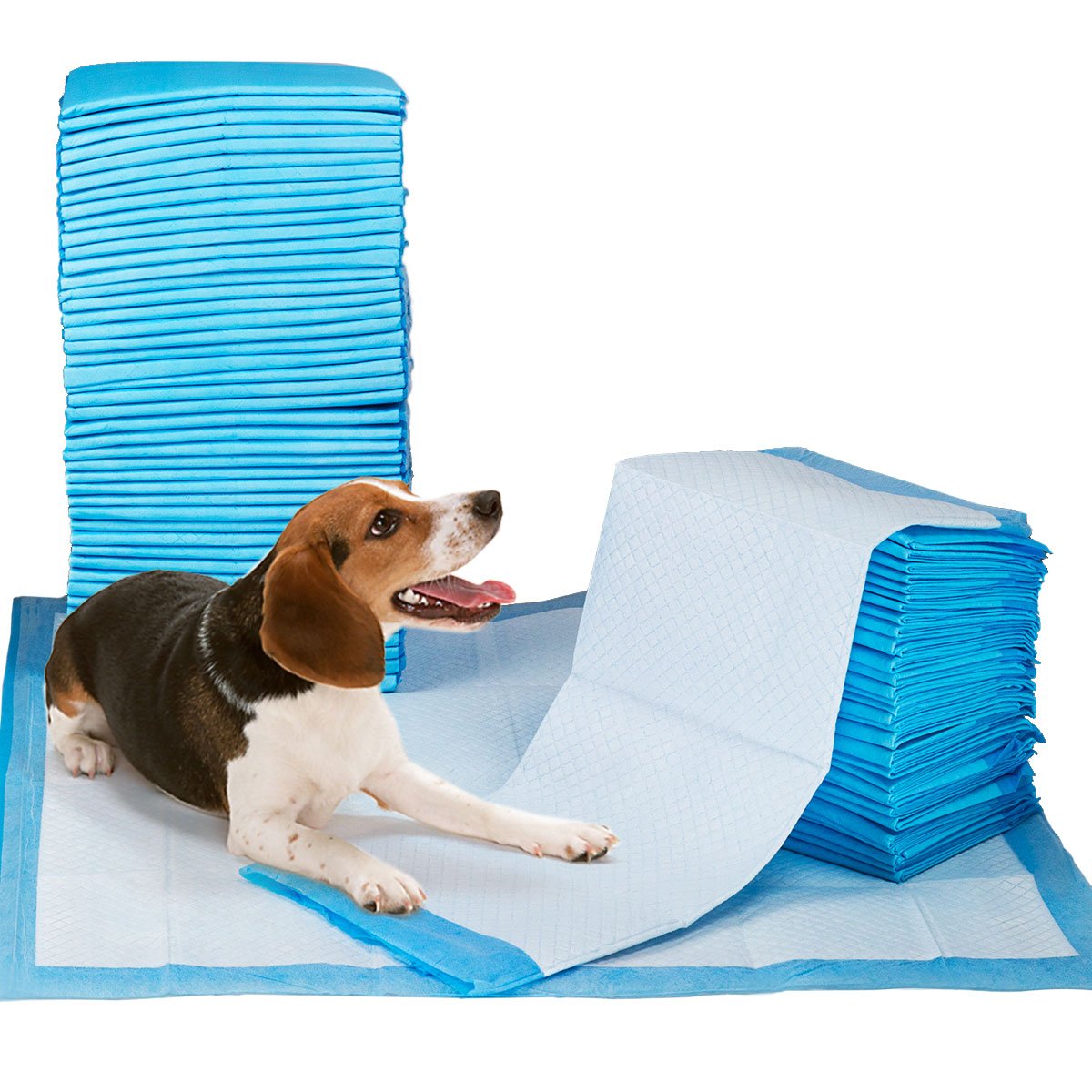 Petfamily Super-Absorbent 24x24 Inch Dog Training Pads - 100 Count | Leakproof Puppy Pee Pads for Housebreaking, Crate Training & Senior Dogs | Indoor/Outdoor Use