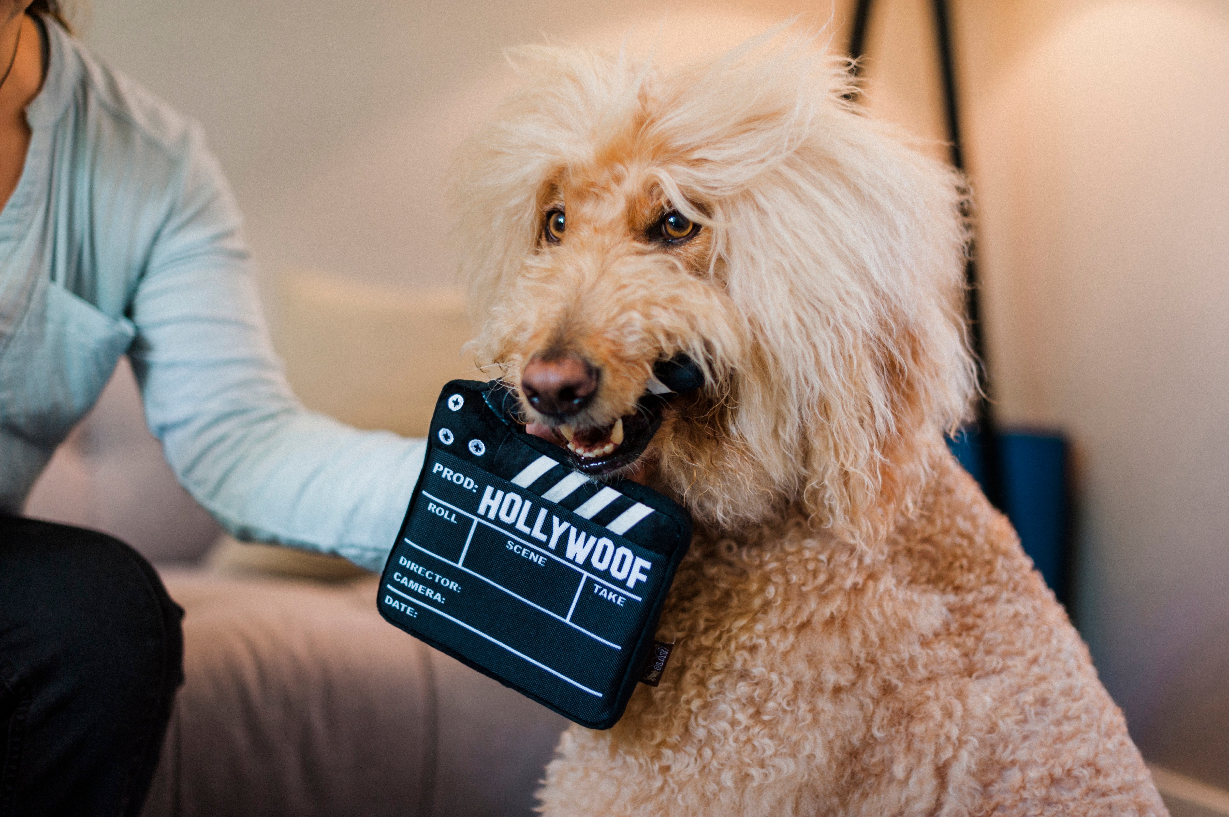 Hollywoof™ Plush Dog Toy - Interactive Puzzle Board for Dogs | Pet P.L.A.Y. | Perfect for Training, Boredom Relief & Mental Stimulation