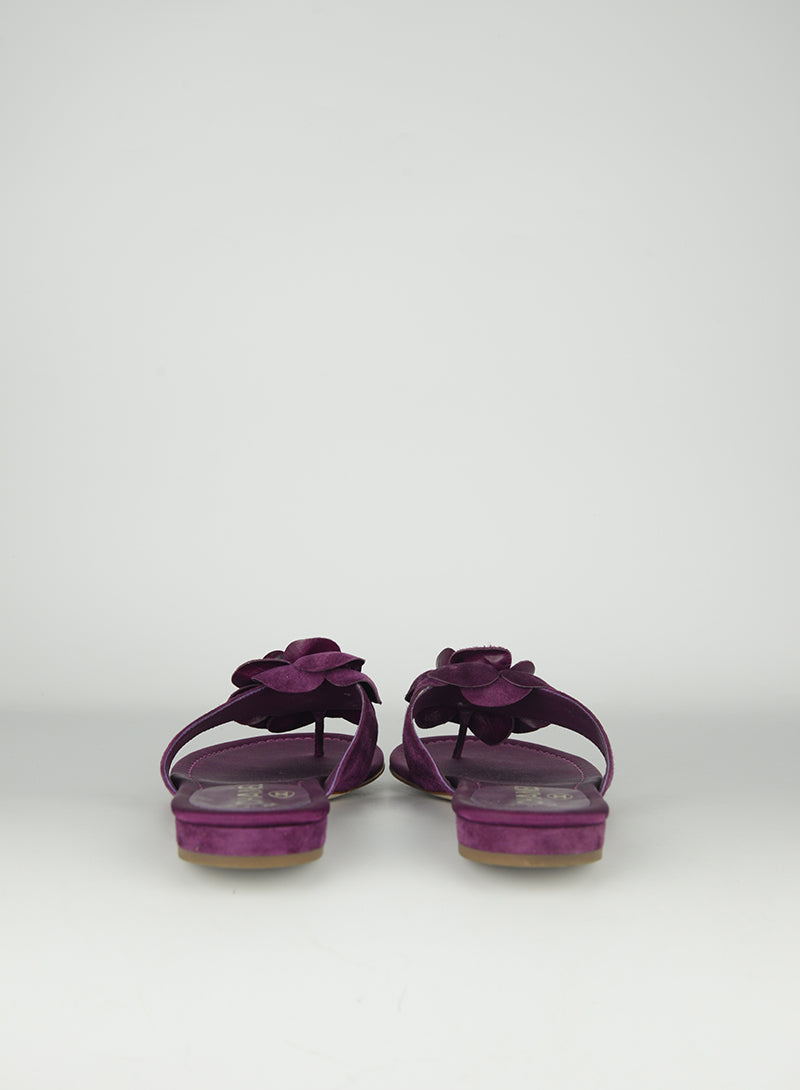 Chanel Camelia Flat Sandals Size 36 - Women's Luxury Designer Shoes for Casual Wear & Summer Outfits