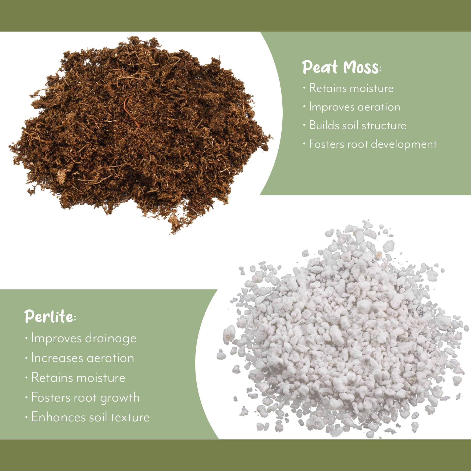 Premium Tropical House Plant Potting Soil Mix - 8 Quarts Nutrient-Rich Blend for Indoor & Outdoor Plants | Perfect for Pothos, Monstera, Ferns & Container Gardening