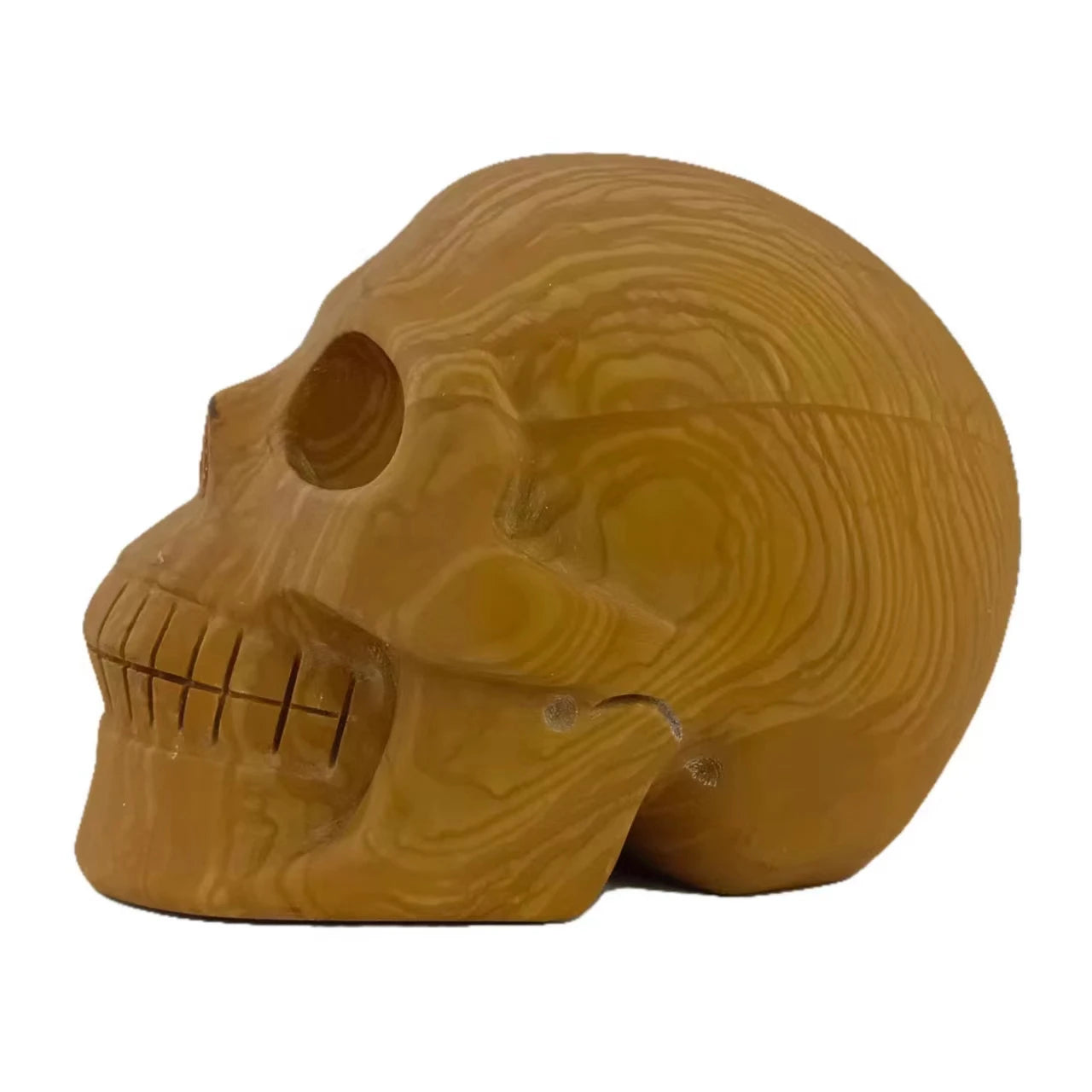wood fossil