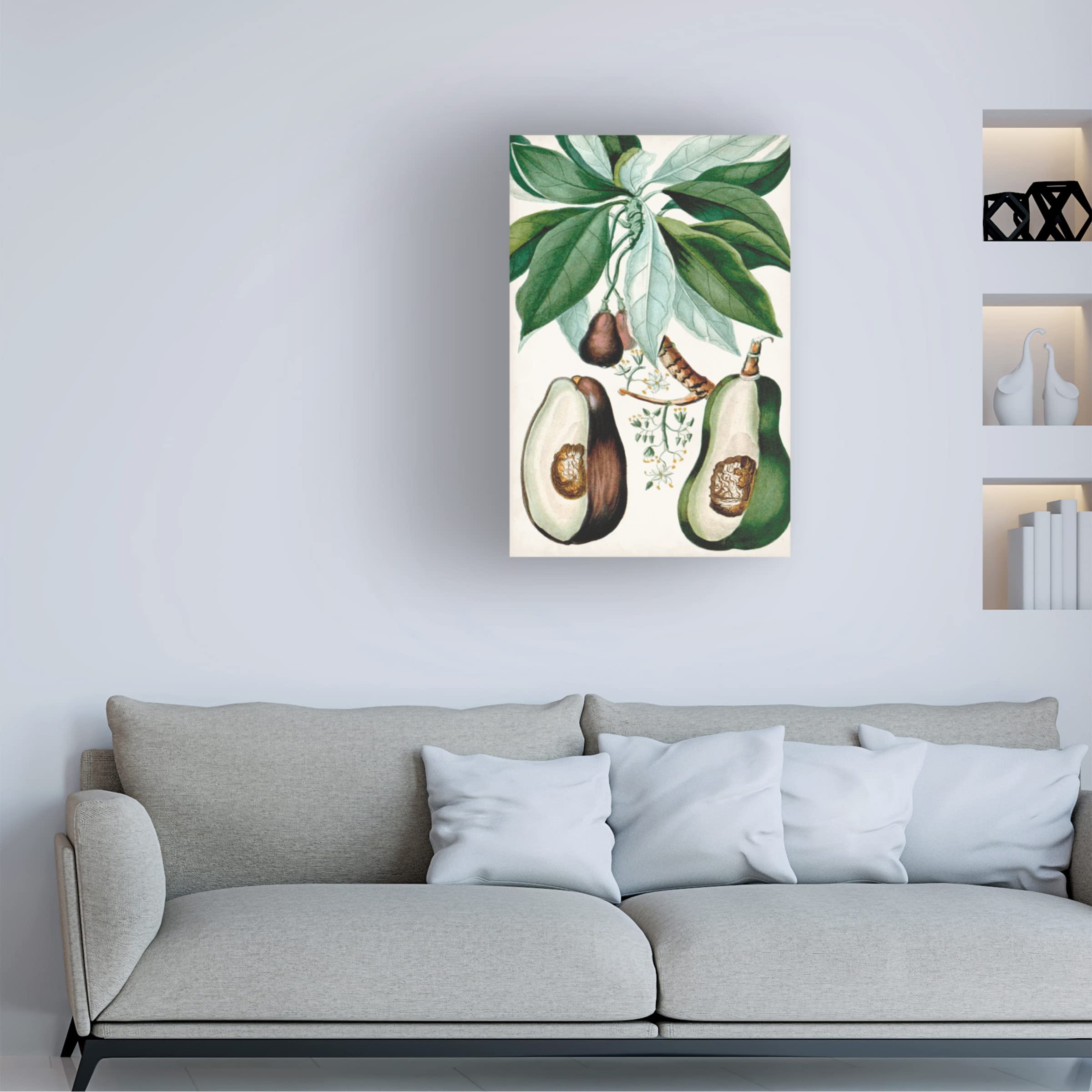 Turpin Tropical Fruit V Canvas Art Print - Vibrant Fruit Wall Decor for Kitchen, Dining Room & Home - Modern Tropical Painting by Trademark Fine Art