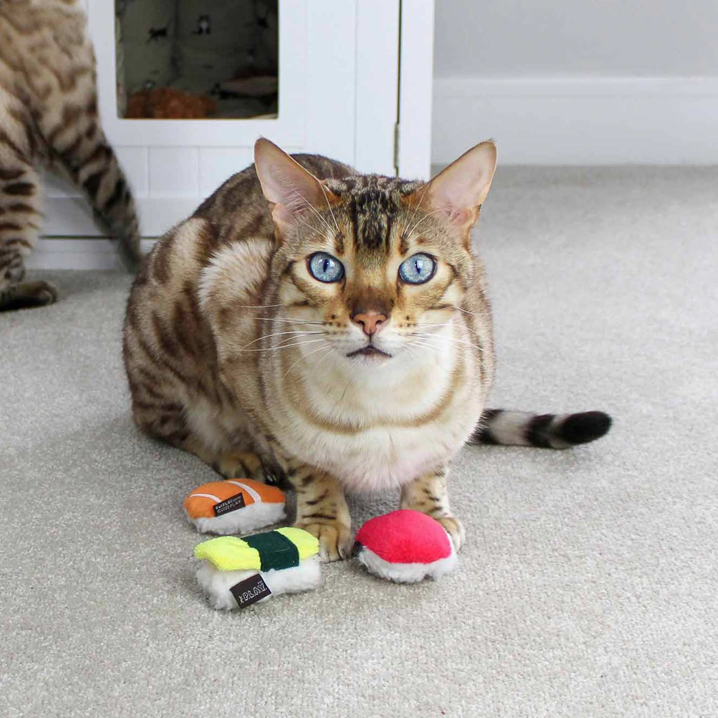 P.L.A.Y Sushi Cat Toys (3 Pack) - Fun Interactive Catnip Toys for Indoor Cats - Perfect for Playtime, Training & Stress Relief