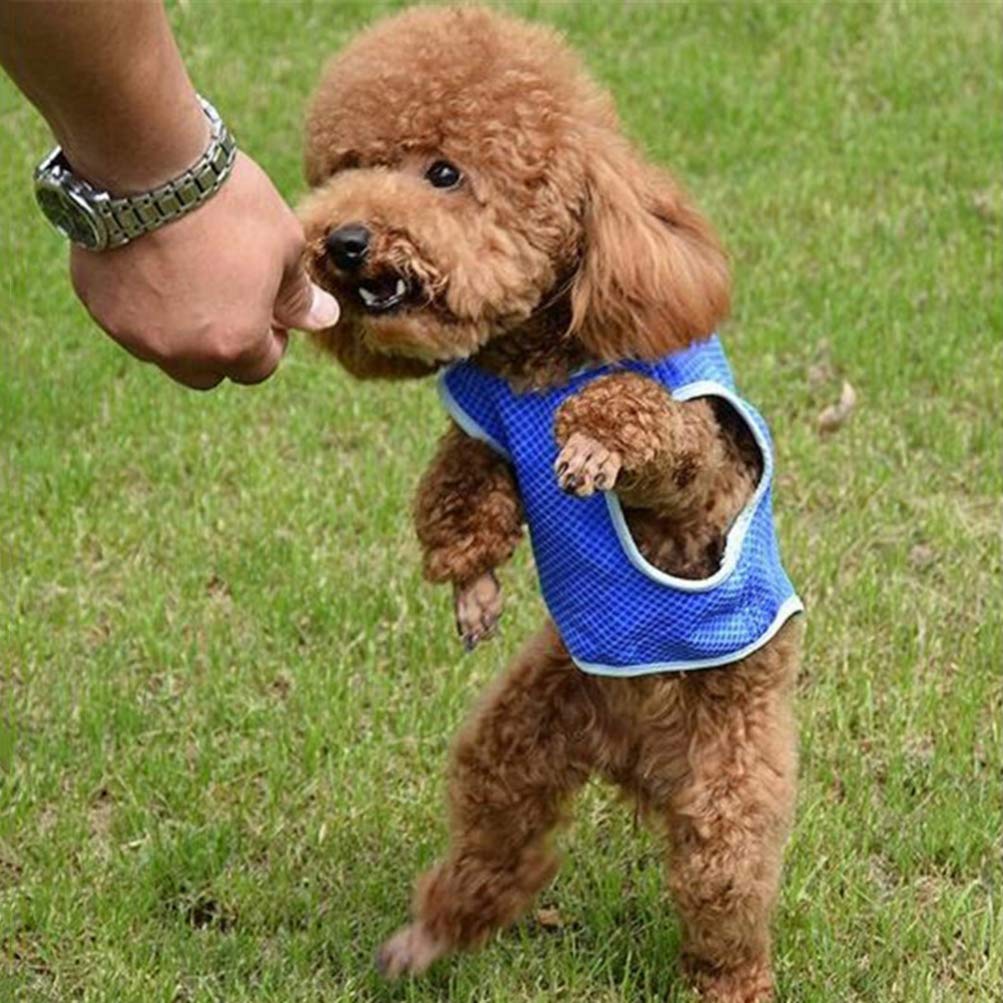 ULTECHNOVO Dog Cooling Mat & Vest - Breathable Cooling Jacket for Small & Large Dogs - Summer Pet Cooling Clothes for Hot Weather - Ideal for Outdoor Walks, Beach Trips & Hot Days