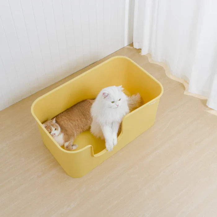 Premium Mango Open Litter Box for Large Cats - Extra Spacious Design for Comfortable Use | Ideal for Maine Coons, Ragdolls & Big Breeds | Perfect for Home, Apartment & Multi-Cat Households