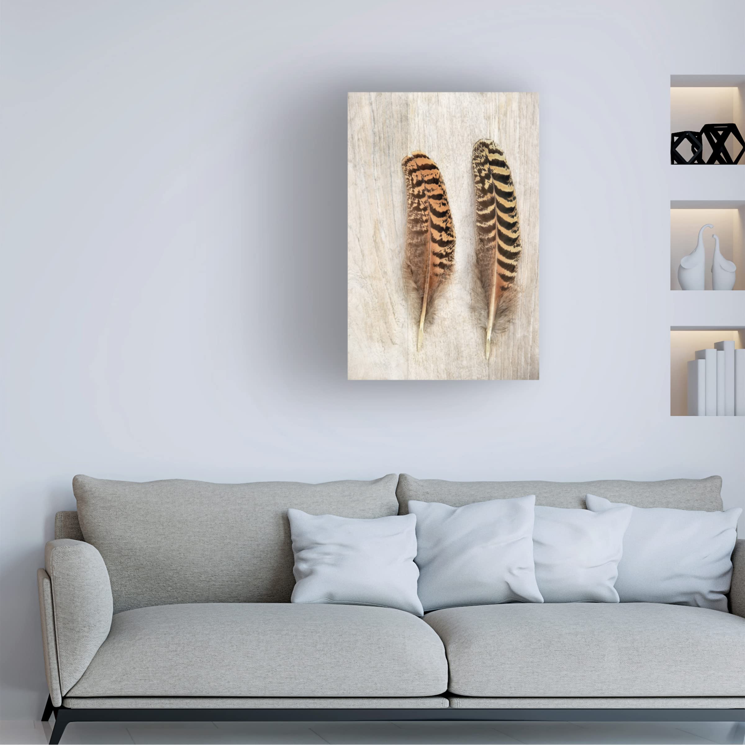 Trademark Fine Art 'Pheasant Feathers' Canvas Wall Art by Cora Niele - Hand-Painted Nature Home Decor for Living Room, Bedroom & Office