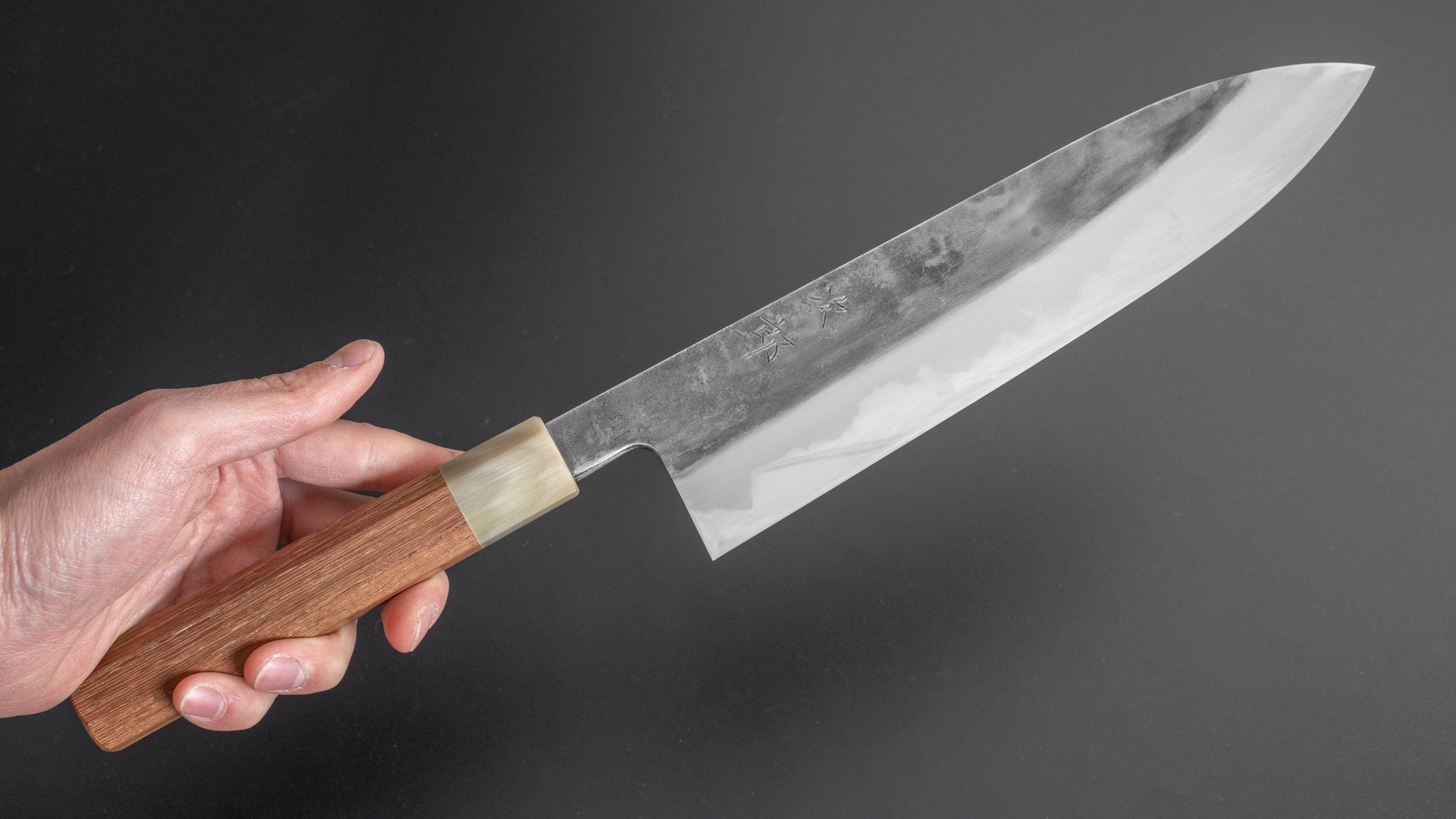 Premium Jiro Tsuchime Wa Gyuto 240mm Japanese Chef Knife with Taihei Tagayasan Handle - Perfect for Sushi, Meat Cutting & Professional Kitchen Use (#219)