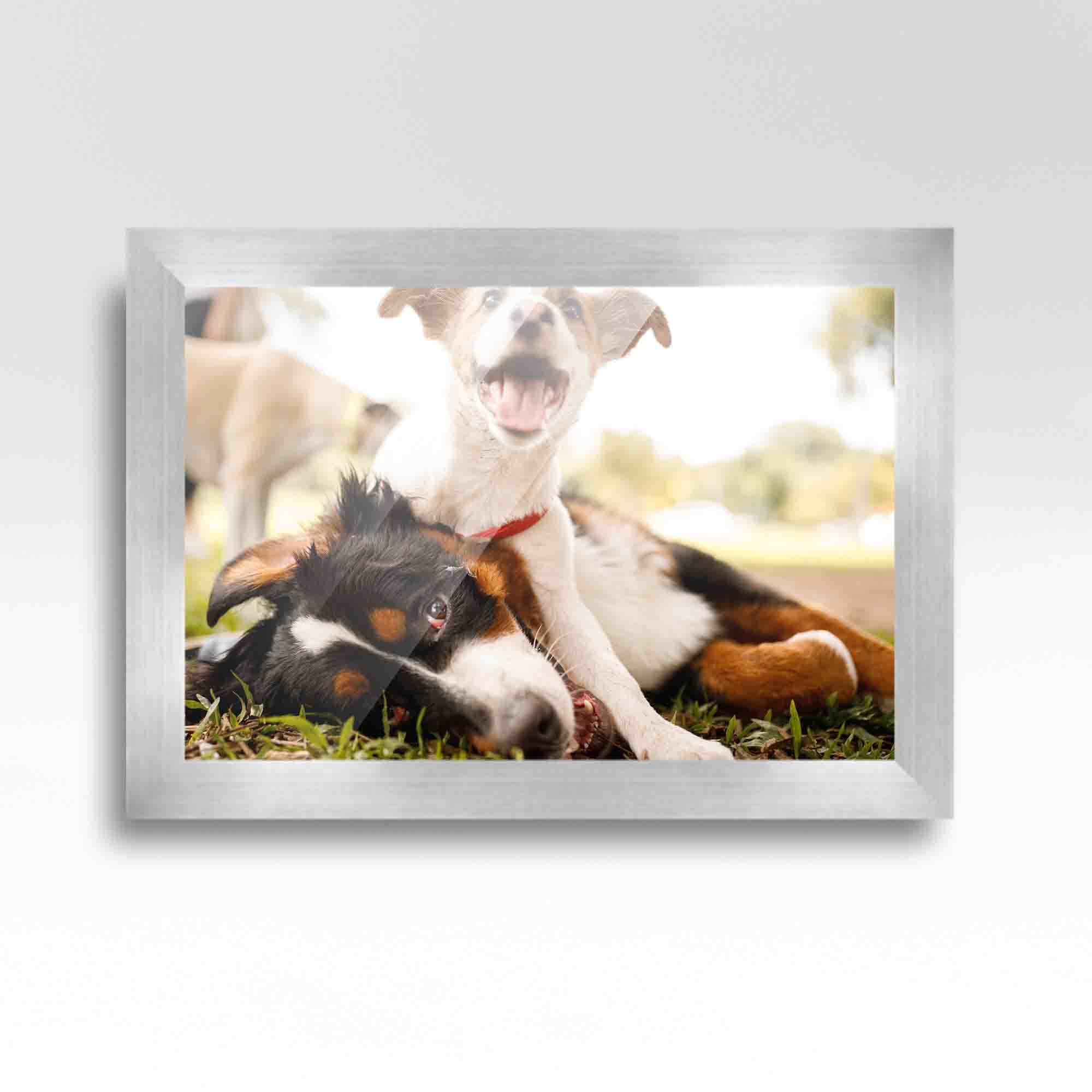 15x20 Silver Acier Wide Picture Frame - Premium Wood Frame with UV Acrylic, Foam Board Backing & Hanging Hardware - Perfect for Wall Decor, Photo Display & Home Office Decorations