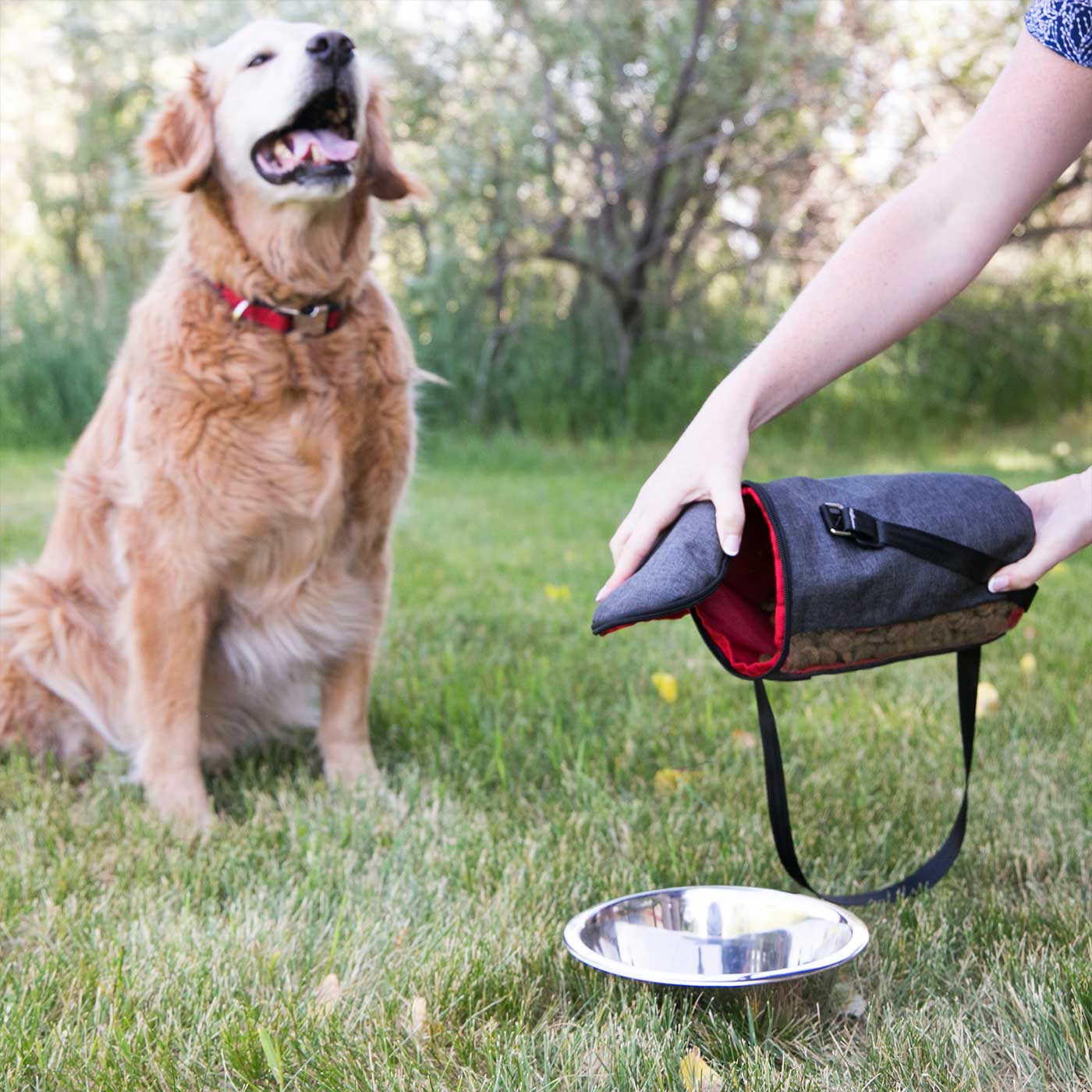 KONG Kibble Storage Bag - Airtight Dog Food Container for Freshness | Perfect for Travel, Camping & Home Storage