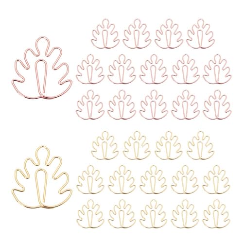 Monstera 30pcs