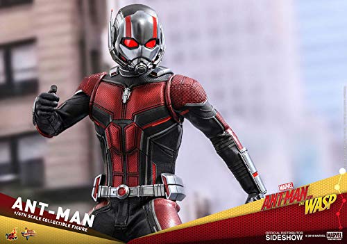 Hot Toys 1:6 Scale Ant-Man Action Figure - Movie Masterpiece Series Collectible for Marvel Fans & Display