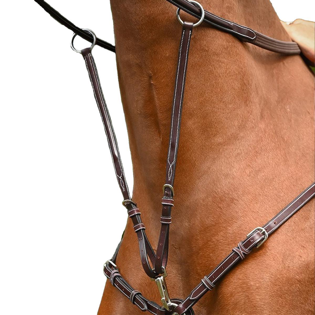 Jump'in Monday Martingale Attachment - Adjustable Dog Collar for Training | Perfect for Week Collection & Outdoor Adventures