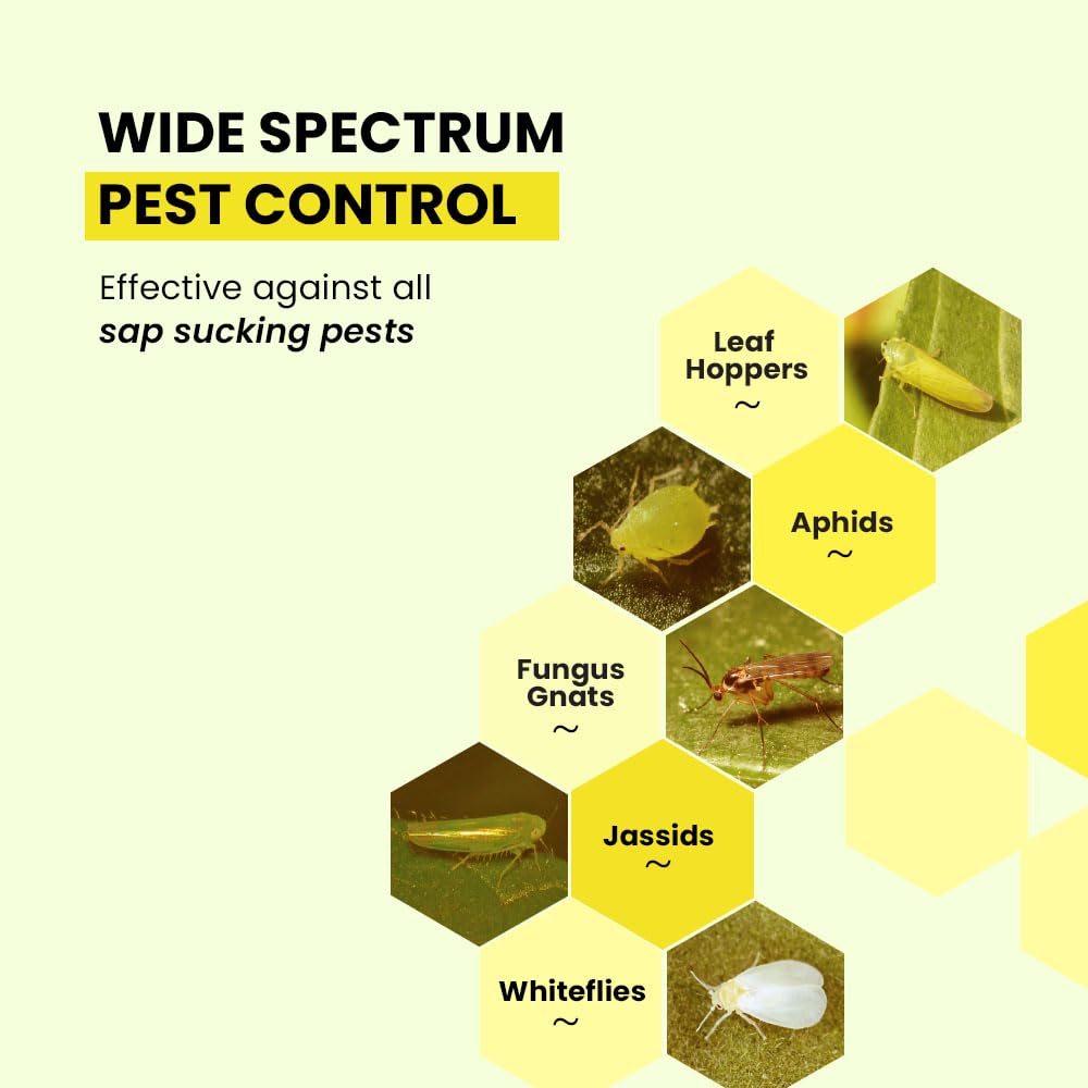 Non-Toxic Yellow & Blue Sticky Traps for Aphids, Whiteflies, Thrips - Pack of 10 | Chemical-Free, Waterproof Insect Catchers for Indoor/Outdoor Plants | IFFCO Urban Gardens
