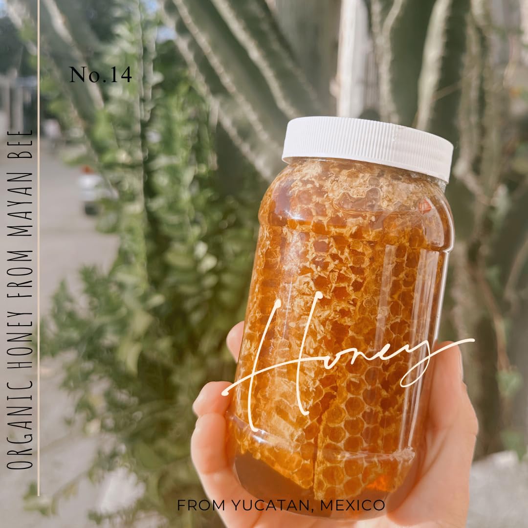 Organic Mayan Bee Honey Body Wash - 16 oz Bottle | Natural Moisturizing & Nourishing Shower Gel for Dry & Sensitive Skin | Perfect for Daily Hydration & Relaxing Bath Time