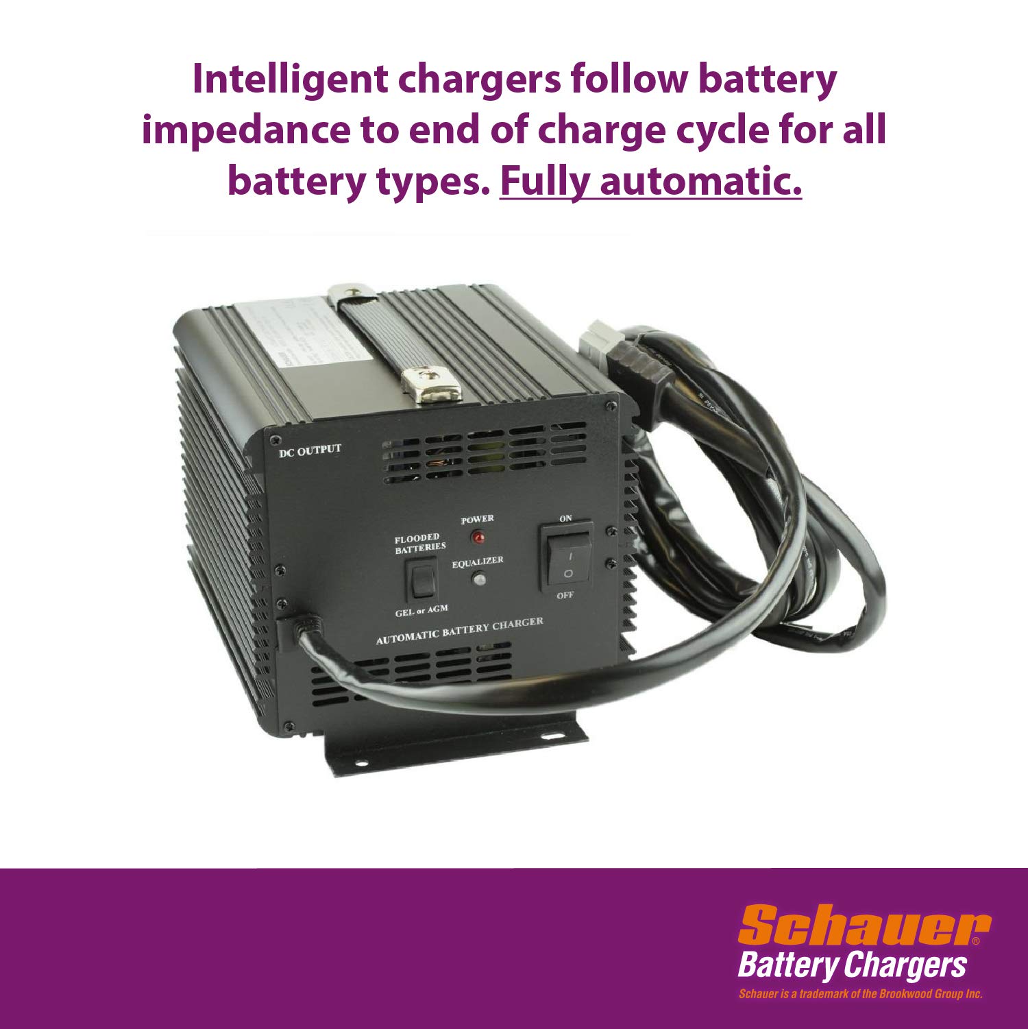 Yamaha G29 48V 15A Golf Cart Battery Charger - Schauer JAC1548H - Fast Charging for Yamaha Drive Golf Carts - Perfect for Golf Courses, Resorts & Home Use