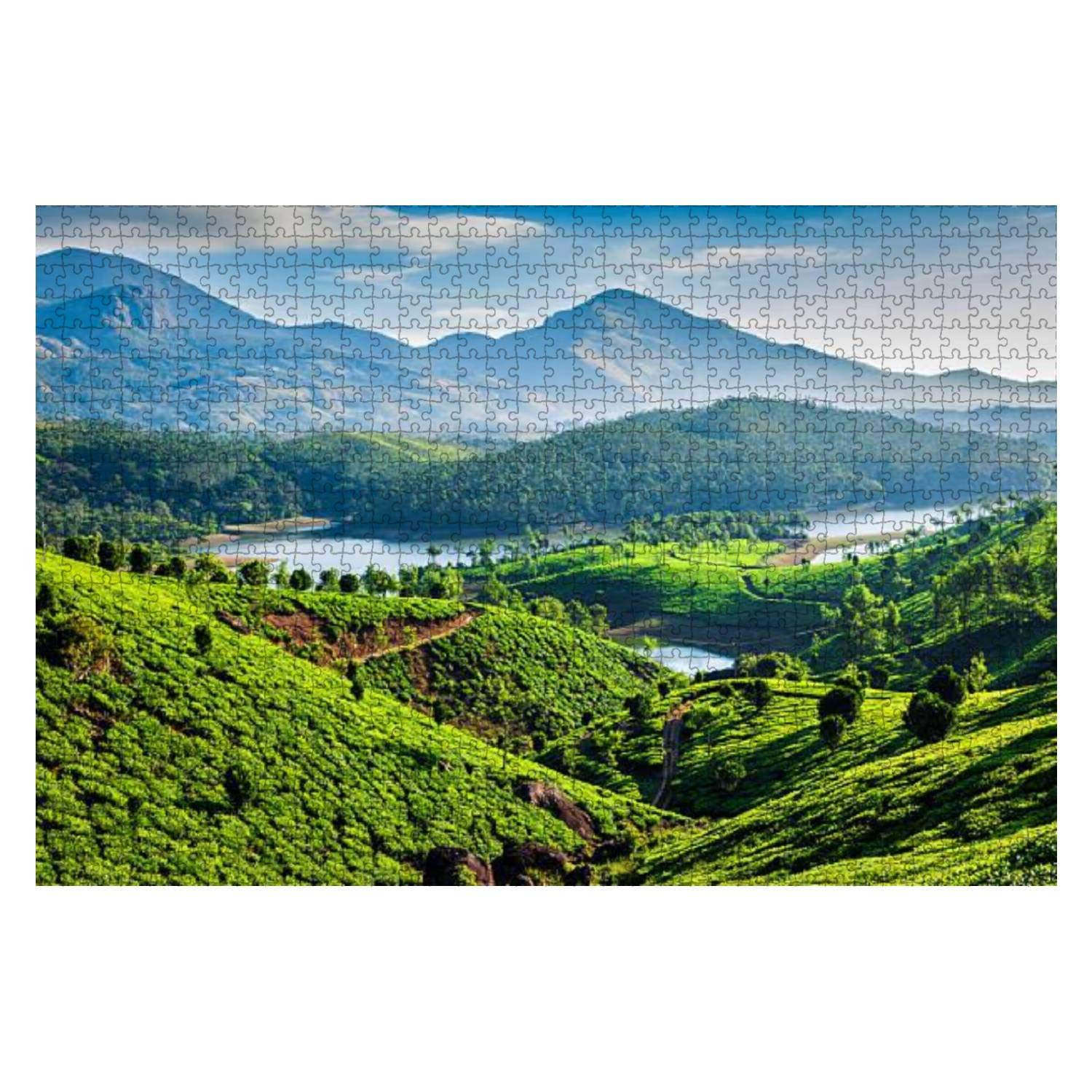 1000-Piece Kerala Tea Plantations & River Landscape Jigsaw Puzzle for Adults & Kids - Educational Wooden Puzzle Game, Home Decor & Creative Entertainment | Perfect for Family Bonding & Stress Relief