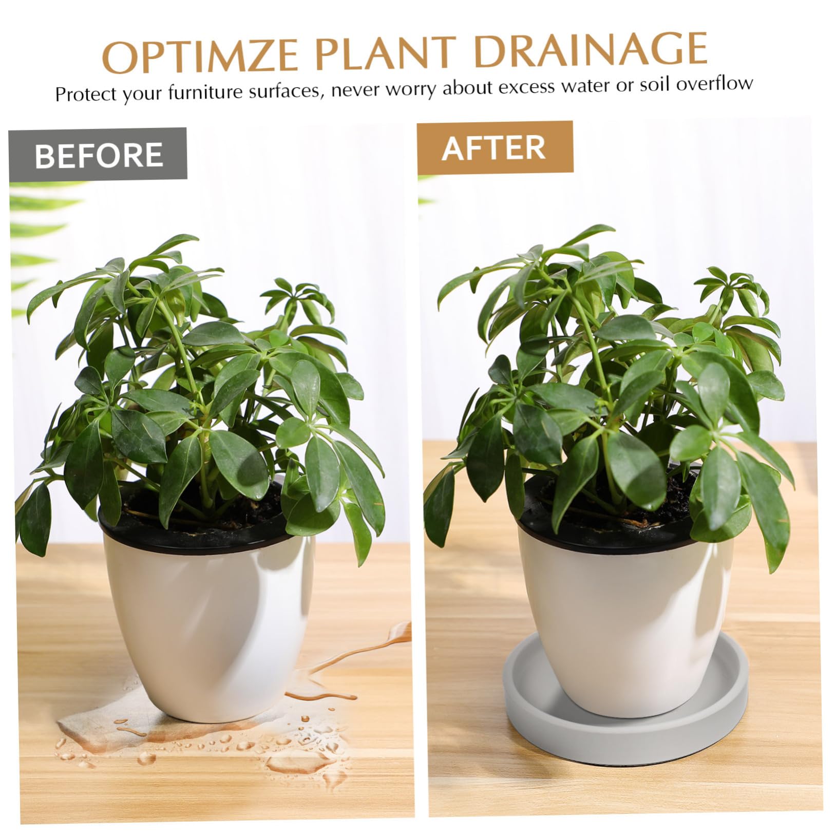 Cabilock 2-Pack Ceramic Plant Pot Trays - Round Indoor Flowerpot Saucers for Houseplants, Succulents, and Herbs | Perfect for Home Decor, Kitchen Countertops, and Balcony Gardening