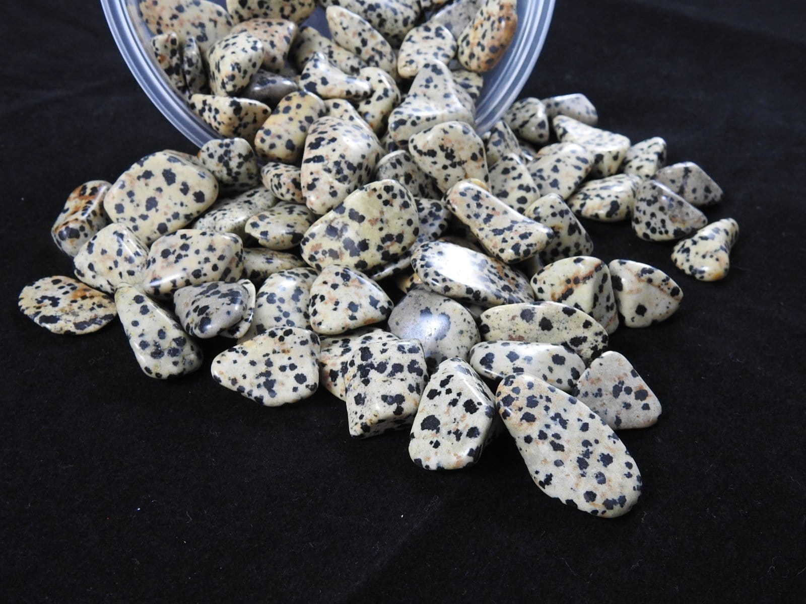Dalmatian Jasper Tumbled Stones - Natural Polished Healing Crystals for Chakra Balancing, Meditation & Home Decor