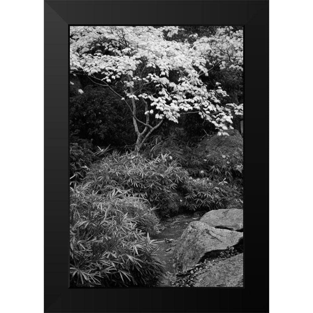 Vitaly Geyman Fall Abundance III Black & White Modern Framed Art Print 13x18 - Contemporary Home & Office Wall Decor for Living Room, Bedroom or Workspace