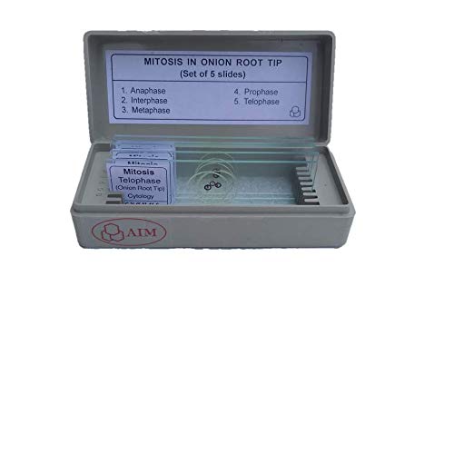 AIM Mitosis Onion Root Tip Slides Set - 5 Pack for Biology Classroom, Lab Study & Microscopy Observation - Perfect for Students, Teachers & Science Enthusiasts