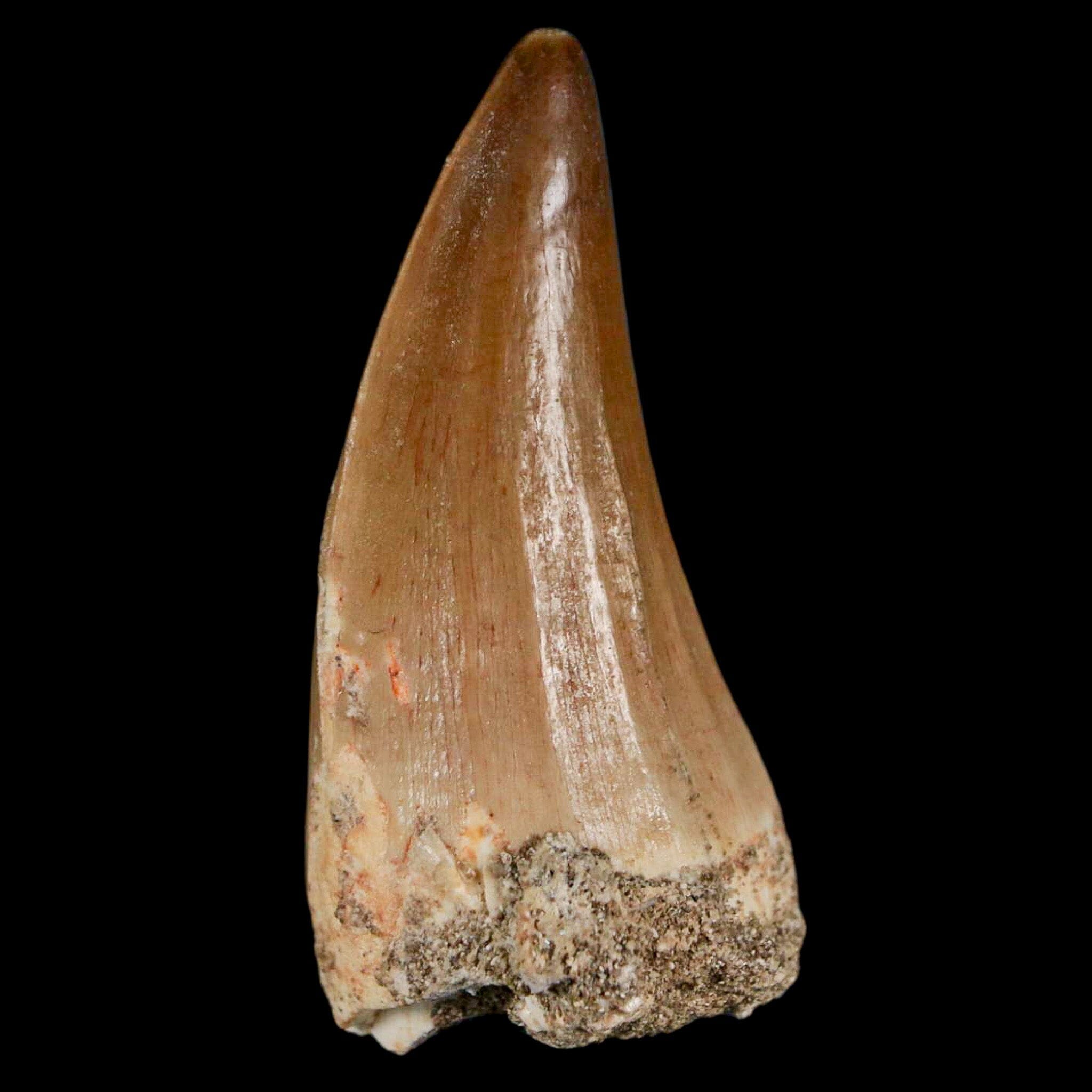 XL 2