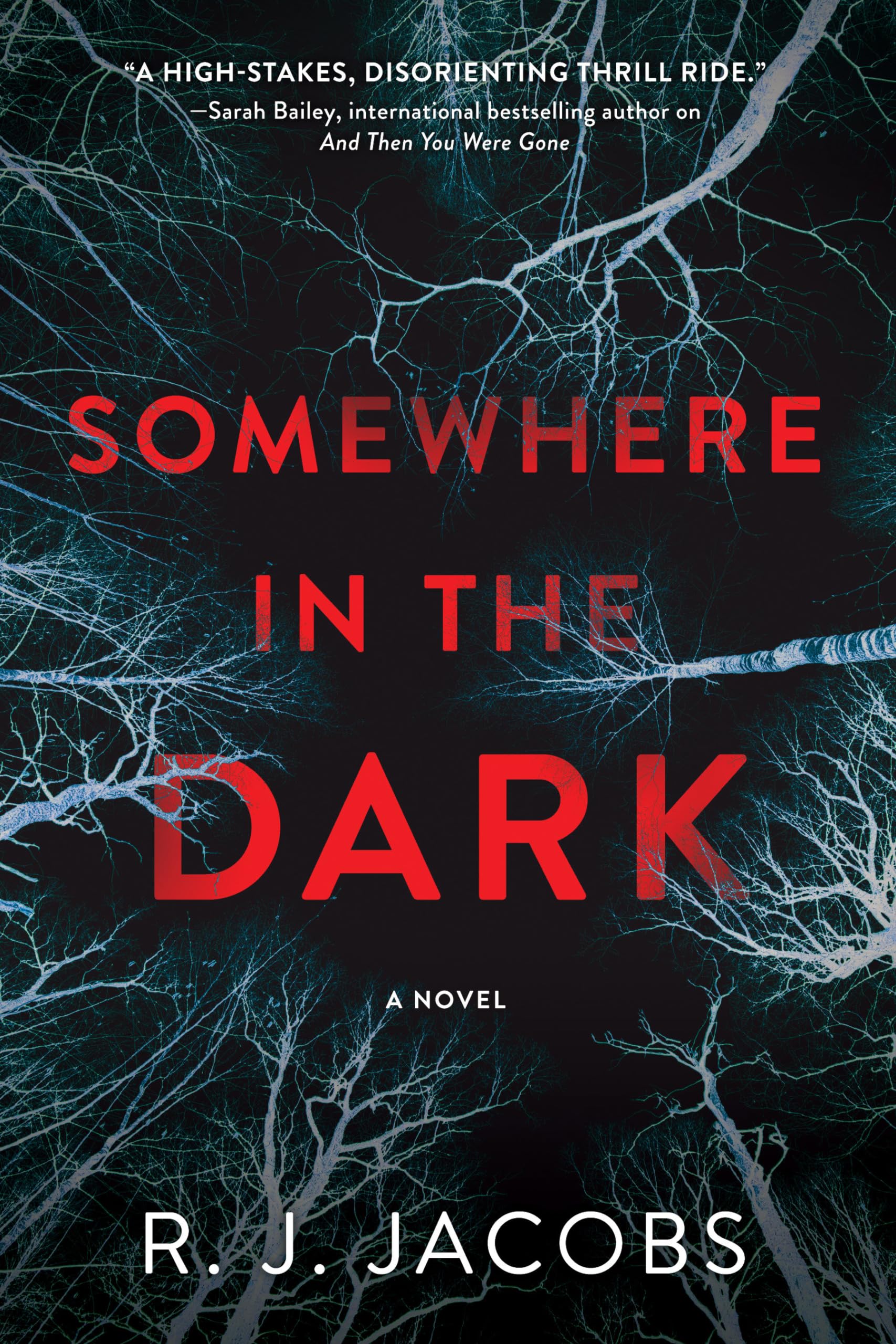 Somewhere in the Dark: A Thriller Novel - Perfect for Late Night Reading & Book Club Discussions